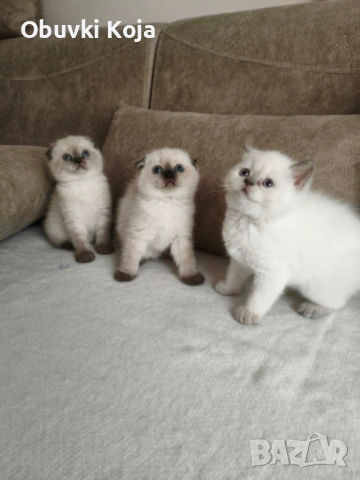 Не са красиви ами просто са уникалени свикнало с малко детенце страхотен подарък за вашите любими 