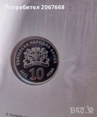 10 лева 2022 г. "Голям гмурец ", снимка 2 - Нумизматика и бонистика - 38058637