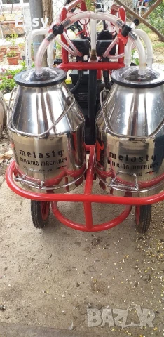 Аргегат за доене на овце