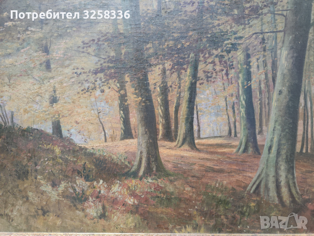 Красива стара картина , снимка 4 - Картини - 44658105