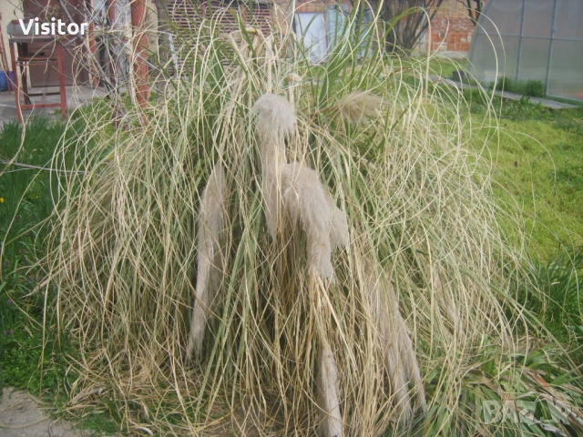 Samsung S830  8 MPx, снимка 16 - Фотоапарати - 54012538