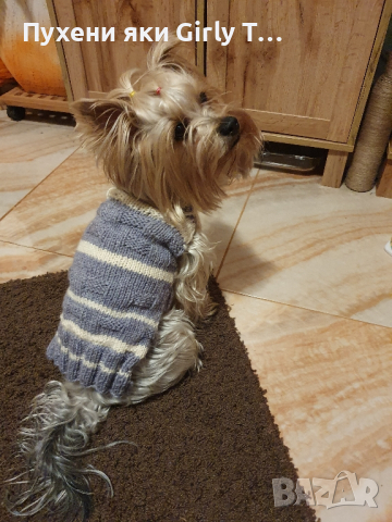 Плетена дрешка за куче М размер Различни цветове , снимка 18 - За кучета - 44343726