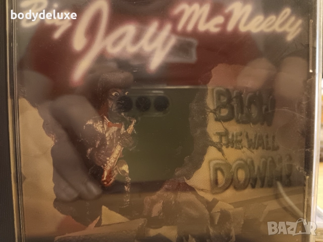 оригинални аудио дискове, снимка 7 - CD дискове - 33011972