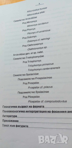 Плиоценски дребно бозайници - дипломна работа, снимка 4 - Специализирана литература - 44655504