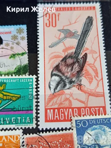 Пощенски марки от цял свят ЛИЧНОСТИ, ЖИВОТНИ,СПОРТ за КОЛЕКЦИОНЕРИ 47884, снимка 8 - Филателия - 47770217