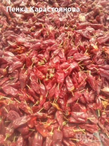 Сладък червен пипер , снимка 3 - Домашни продукти - 52451621