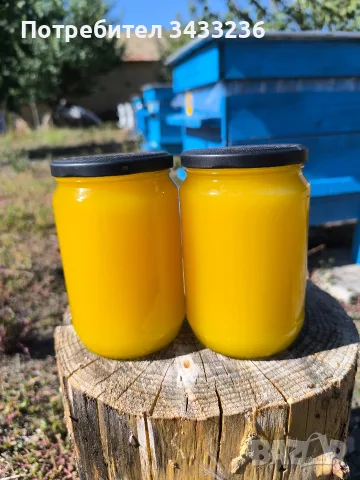 Пчелен мед полифлорен натурален , снимка 6 - Пчелни продукти - 56455406