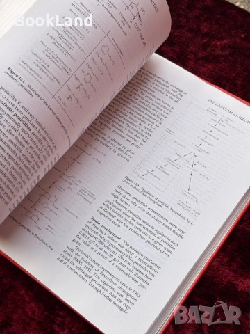 Biotechnology| A textbook of industrial microbiology , снимка 3 - Други - 53948139