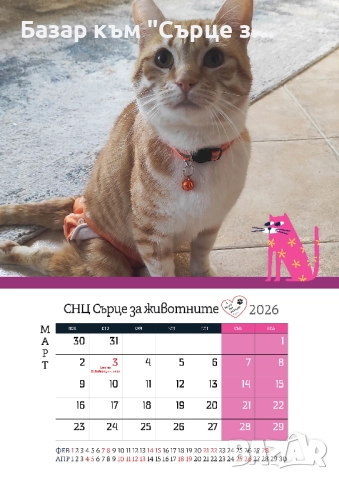 Благотворителен календар с подарък и бродирани пирамидки, снимка 3 - Други стоки за животни - 34917469