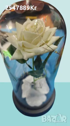 Бяла роза под стъклен купол - Вечна елегантност, снимка 5 - Подаръци за жени - 48675050