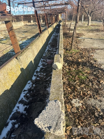 Бетонови хранилки за едри животни