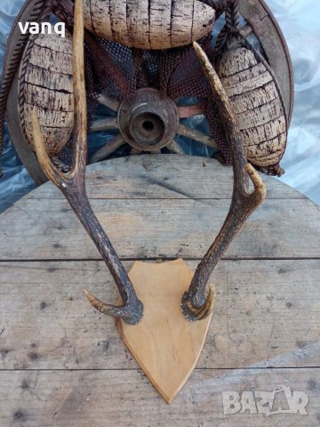 Еленски рога, снимка 1