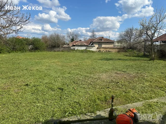 Премахване на опасни дървета, косене и почистване, снимка 16 - Други услуги - 56253885
