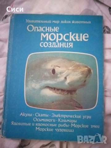 Опасные морские создания, снимка 1