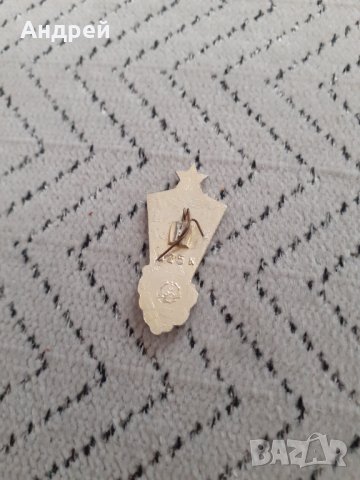 Значка Хабаровск, снимка 2 - Други ценни предмети - 31477225