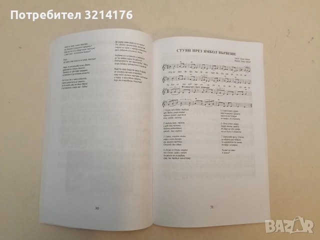 Възпев за Ямбол – Лазар Павлов и приятели (2011, Ямбол), снимка 4 - Специализирана литература - 52502112