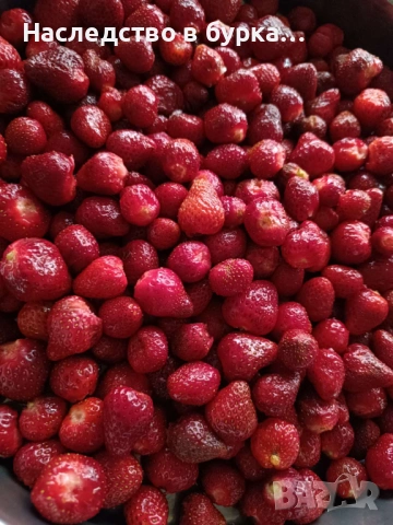 Домашно сладко с цели ягоди , снимка 2 - Домашни продукти - 53344478