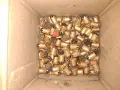 Пистолет Хилти DX - 450, снимка 12