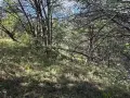 Земеделска земя , снимка 13