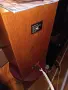 Spendor SA 2 monitor, снимка 3