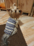 Плетена дрешка за куче М размер Различни цветове , снимка 18