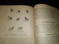 Наръчник на ловеца и рибаря , снимка 6