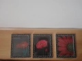 Картини "Цветя", комплект от 3 броя, всяка една с размери 23,5/28,5 см. Рамките са включени в цената, снимка 3