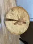 Масичка от естествена Борова дървесина , снимка 2