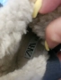 детски ботушки на Zara 22 номер, снимка 2