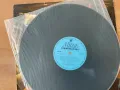 Грамофонна плоча 12”, снимка 3