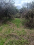 Урегулиран поземлен имот в с.Кондофрей , снимка 2