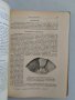 Специална патологична анатомия, снимка 5