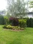 Професионално почистване на къщи, снимка 16