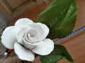 Порцеланова роза, снимка 5