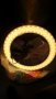 Голям Ринг за Фото или Видео Осветление със Стойка и Нагласяща се Светлина Топла Студена R60X Ring, снимка 7