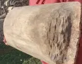 Маса, паралия, дървено корито Копанка копаня Стара нощва, уникат, битов кът, нощви, трикрако столче, снимка 6
