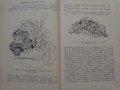 Книга Леки автомобили Рено София 1960 год Експлуатация и поддържане на Български език, снимка 9