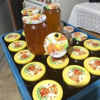  Пчелен мед, снимка 1 - Пчелни продукти - 44232054