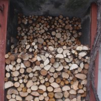 Продавам дърва за огрев, снимка 4 - Дърва за огрев - 41572025