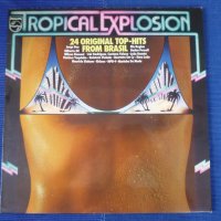 грамофонни плочи Tropical Explosion - 24 original top-hits from Brasil, снимка 1 - Грамофонни плочи - 34114090