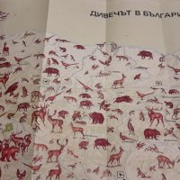 Карта на животните във България , снимка 2 - Енциклопедии, справочници - 31483482