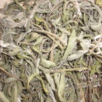 Градински чай/Salvia officinalis/, снимка 2 - Домашни продукти - 27181949