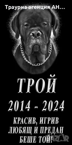 Погребение на домашни любимци, снимка 1