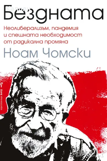 Ноам Чомски - Бездната (2021), снимка 1
