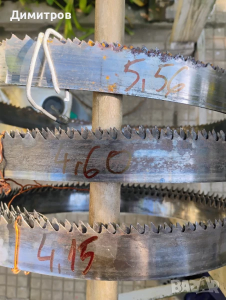 Банцигова лента, снимка 1