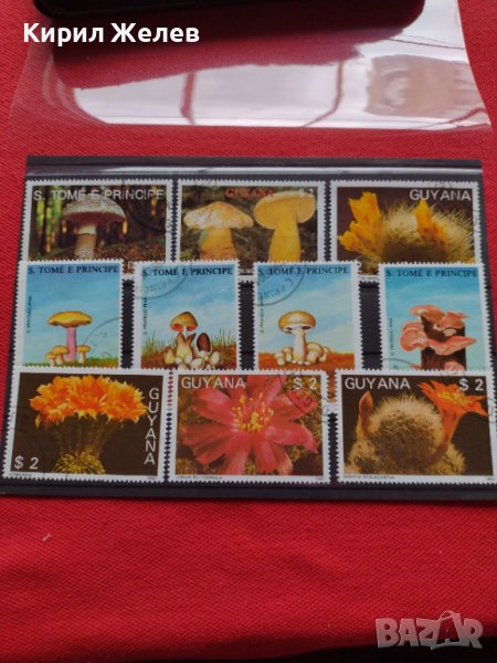 Пощенски марки серия Растения, Гъби стари редки за колекция декорация - 22024, снимка 1