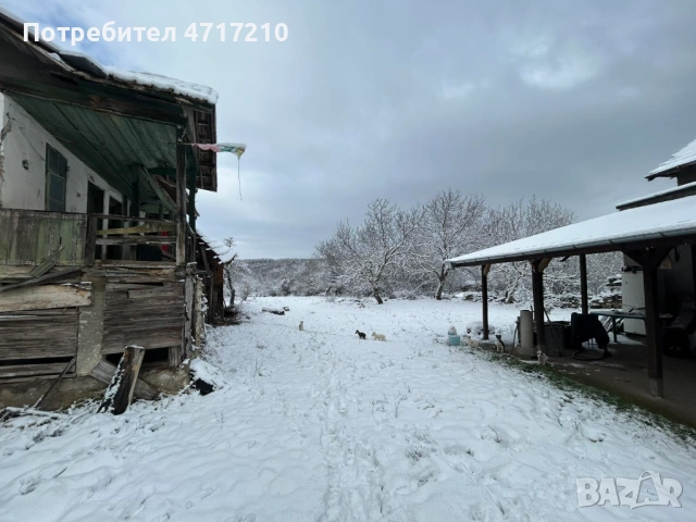 ПРОДАВА имот в с. Бресте, общ. Червен Бряг – 2500 кв.м., ДВЕ КЪЩИ, два двора, снимка 16 - Къщи - 53324328