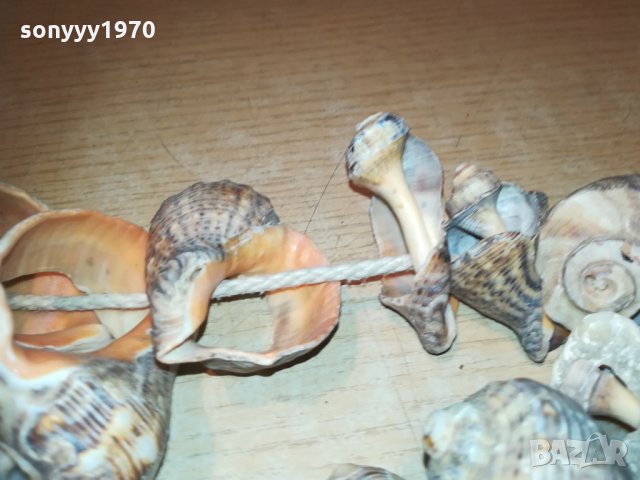 гердан от рапани 2811202032, снимка 14 - Колекции - 30944213