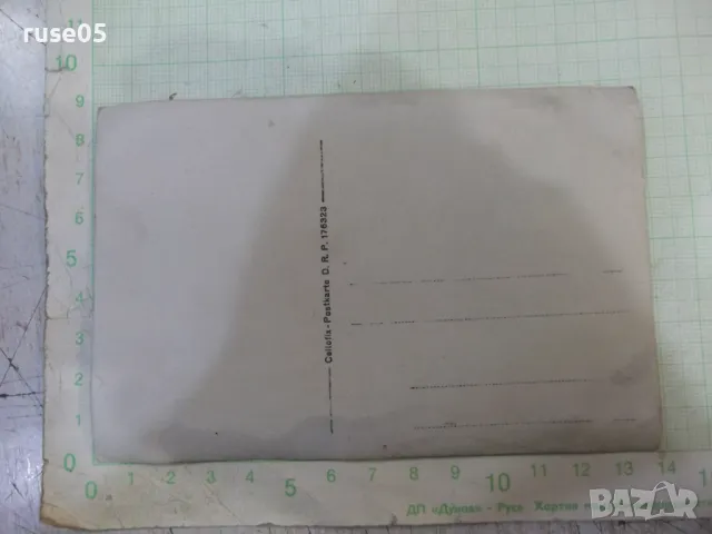 Снимка стара на мустакат господин, снимка 2 - Колекции - 47972513