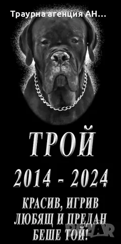 Погребение на домашни любимци